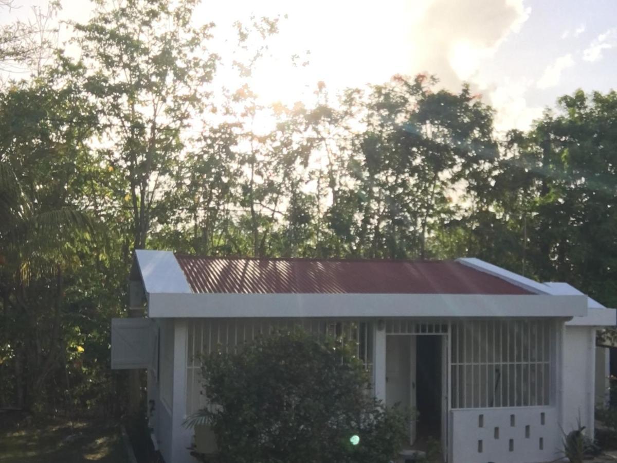 Le Belleplaine Villa Le Gosier  Exterior foto